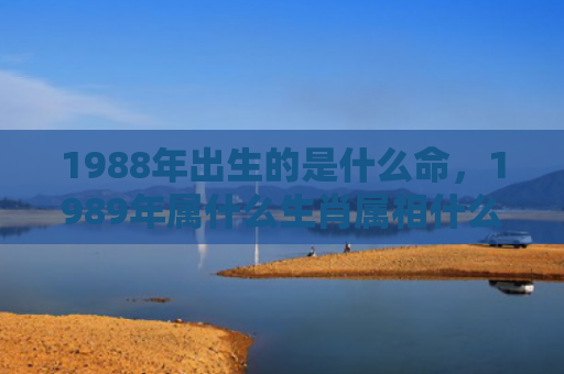 1988年出生的是什么命，1989年属什么生肖属相什么命