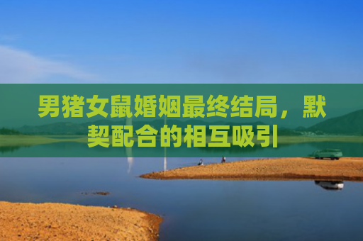 男猪女鼠婚姻最终结局，默契配合的相互吸引
