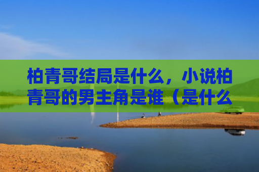 柏青哥结局是什么，小说柏青哥的男主角是谁（是什么是谁男主角）