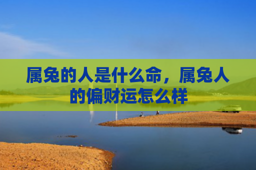 属兔的人是什么命，属兔人的偏财运怎么样