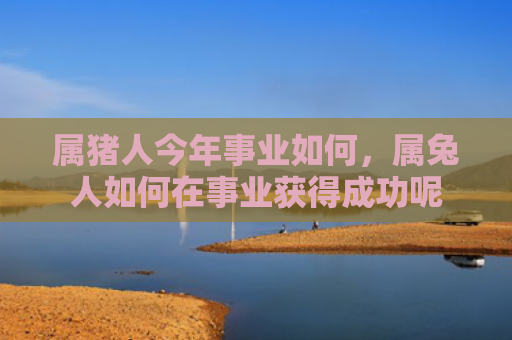 属猪人今年事业如何，属兔人如何在事业获得成功呢