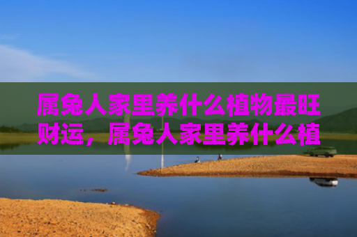 属兔人家里养什么植物最旺财运，属兔人家里养什么植物好吉利