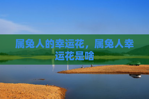 属兔人的幸运花，属兔人幸运花是啥