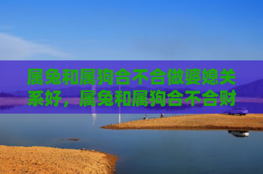 属兔和属狗合不合做婆媳关系好，属兔和属狗合不合财