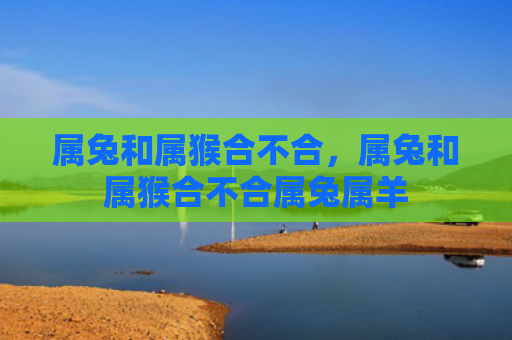 属兔和属猴合不合，属兔和属猴合不合属兔属羊