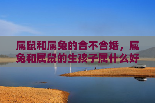 属鼠和属兔的合不合婚，属兔和属鼠的生孩子属什么好