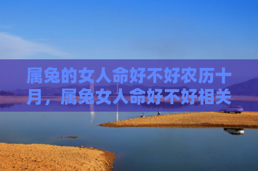 属兔的女人命好不好农历十月，属兔女人命好不好相关推荐