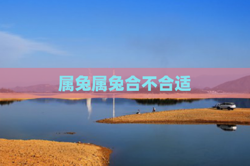 属兔属兔合不合适