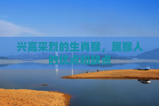 兴高采烈的生肖猴，属猴人的优点和缺点