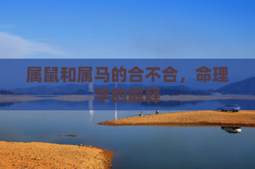 属鼠和属马的合不合，命理学的解释