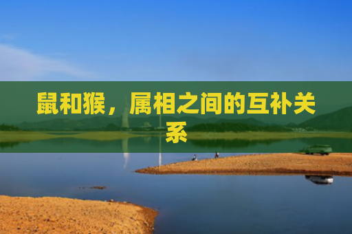 鼠和猴，属相之间的互补关系