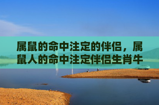 属鼠的命中注定的伴侣，属鼠人的命中注定伴侣生肖牛