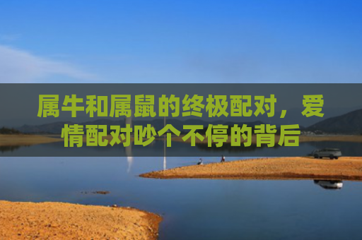 属牛和属鼠的终极配对，爱情配对吵个不停的背后