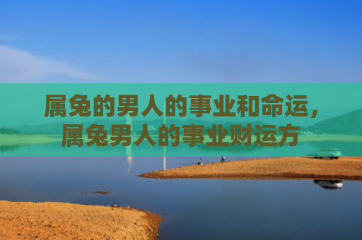 属兔的男人的事业和命运，属兔男人的事业财运方