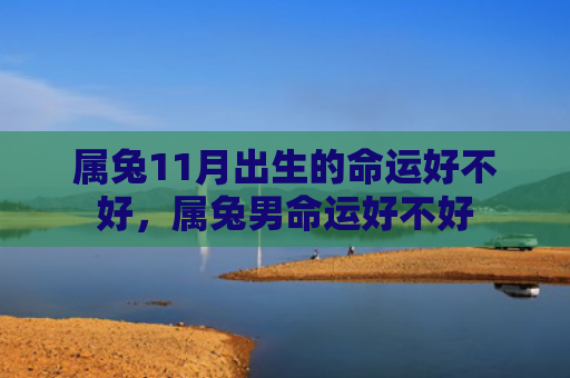属兔11月出生的命运好不好，属兔男命运好不好