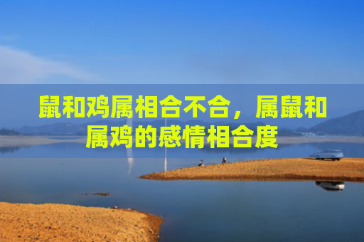 鼠和鸡属相合不合，属鼠和属鸡的感情相合度