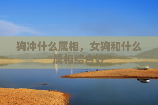 狗冲什么属相，女狗和什么属相结合好