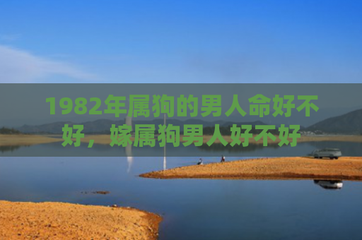1982年属狗的男人命好不好，嫁属狗男人好不好