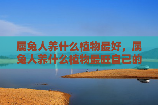 属兔人养什么植物最好，属兔人养什么植物最旺自己的财运-真的很准