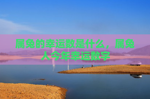 属兔的幸运数是什么，属兔人今年幸运数字