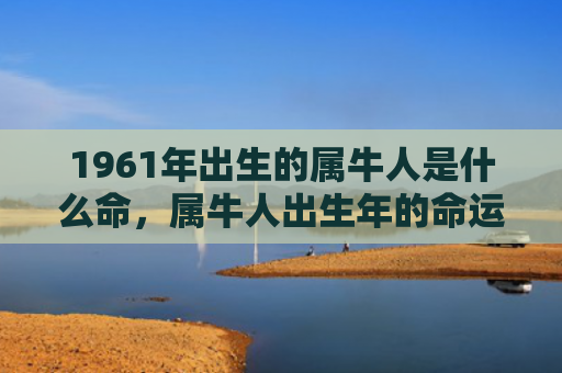 1961年出生的属牛人是什么命，属牛人出生年的命运