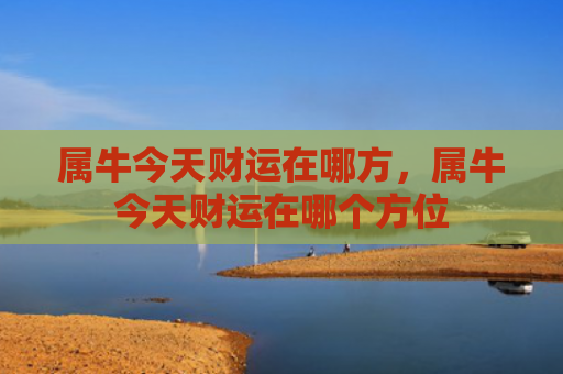 属牛今天财运在哪方，属牛今天财运在哪个方位