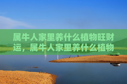属牛人家里养什么植物旺财运，属牛人家里养什么植物好旺财