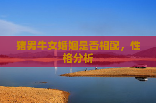 猪男牛女婚姻是否相配，性格分析