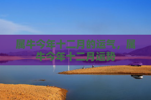 属牛今年十二月的运气，属牛今年十二月运势