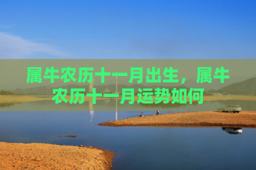 属牛农历十一月出生，属牛农历十一月运势如何