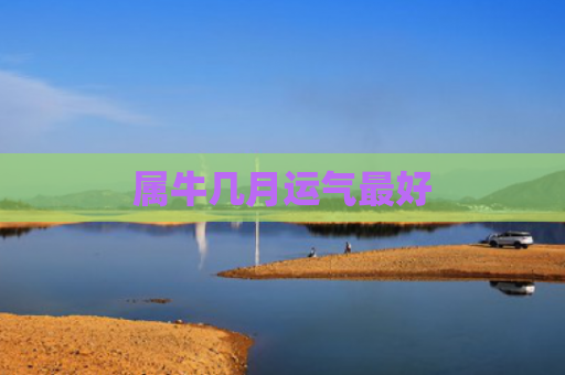 属牛几月运气最好