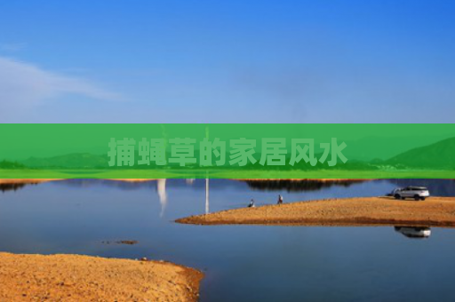 捕蝇草的家居风水