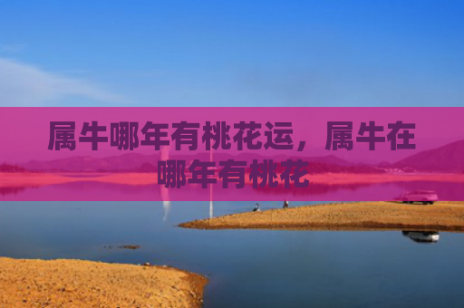 属牛哪年有桃花运，属牛在哪年有桃花