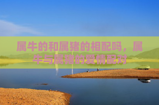 属牛的和属猪的相配吗，属牛与属猪的爱情配对
