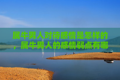 属牛男人对待感情是怎样的，属牛男人的感情弱点有哪些