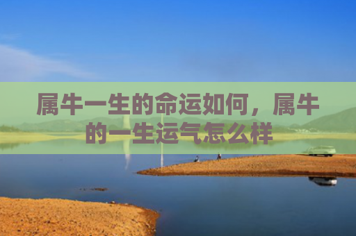 属牛一生的命运如何，属牛的一生运气怎么样