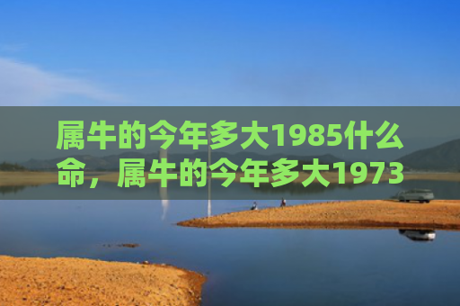 属牛的今年多大1985什么命，属牛的今年多大1973