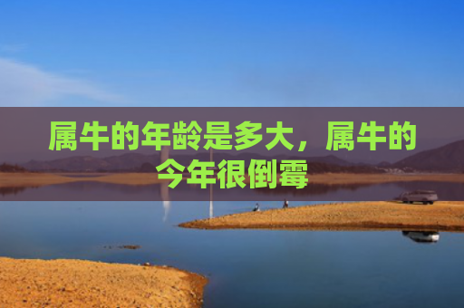 属牛的年龄是多大，属牛的今年很倒霉
