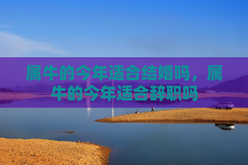 属牛的今年适合结婚吗，属牛的今年适合辞职吗