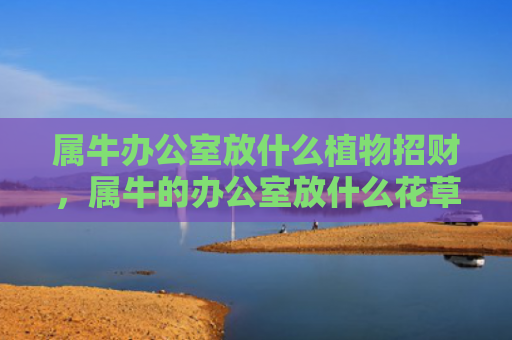 属牛办公室放什么植物招财，属牛的办公室放什么花草好