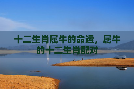 十二生肖属牛的命运，属牛的十二生肖配对