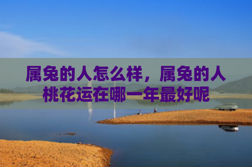 属兔的人怎么样，属兔的人桃花运在哪一年最好呢