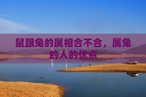 鼠跟兔的属相合不合，属兔的人的优点