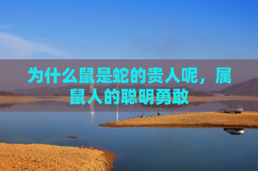 为什么鼠是蛇的贵人呢，属鼠人的聪明勇敢