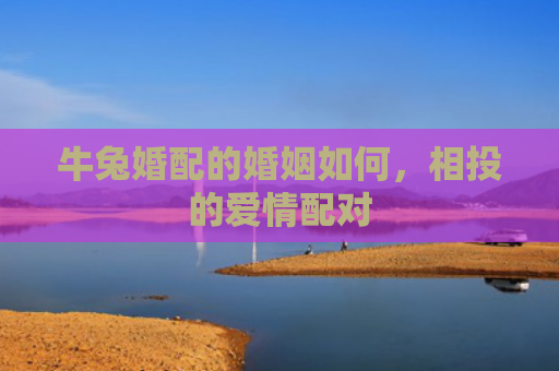 牛兔婚配的婚姻如何，相投的爱情配对