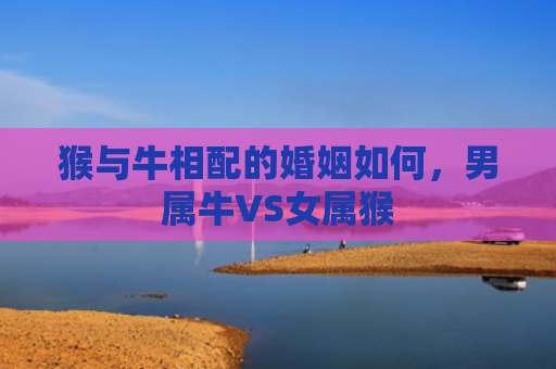 猴与牛相配的婚姻如何，男属牛VS女属猴