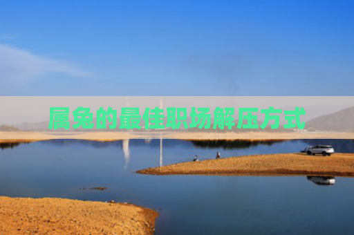 属兔的最佳职场解压方式