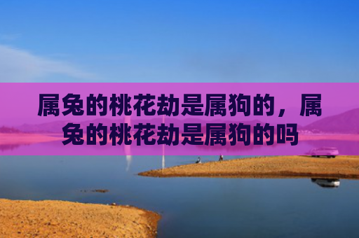属兔的桃花劫是属狗的，属兔的桃花劫是属狗的吗