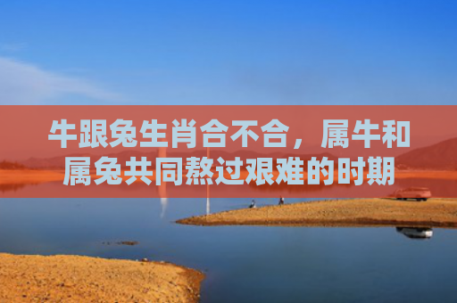 牛跟兔生肖合不合，属牛和属兔共同熬过艰难的时期