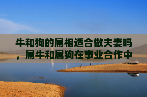 牛和狗的属相适合做夫妻吗，属牛和属狗在事业合作中的挑战